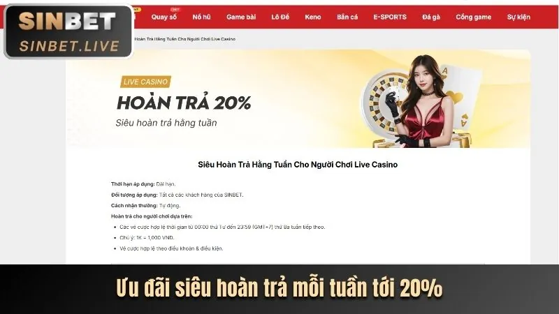 Hình ảnh hoàn trả tiền cược casino và thể thao